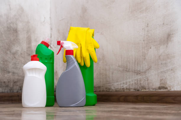 Mold Remediation for Rental Properties in Oasis, CA